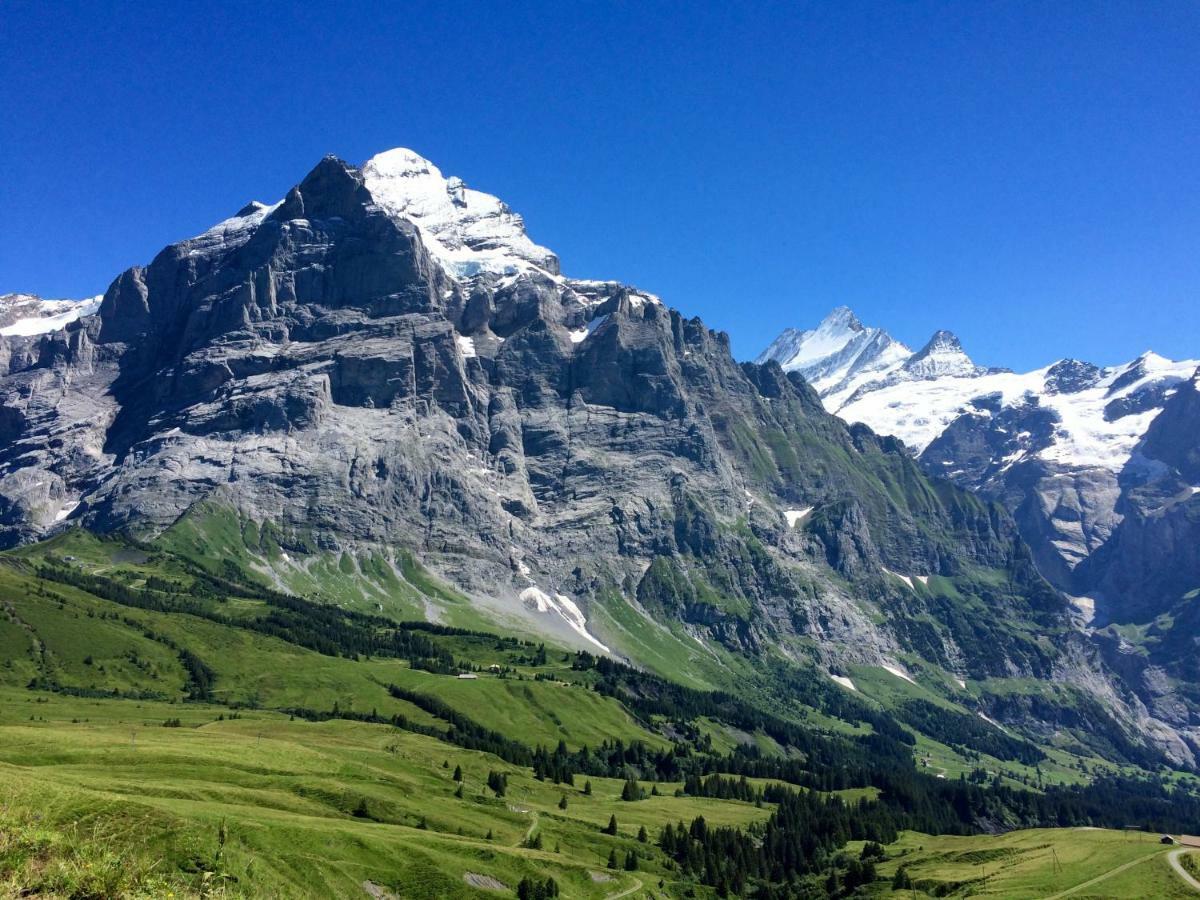Apartamento Wetterhorn, Eiger, Jungfrau, Amazing! Grindelwald Exterior foto